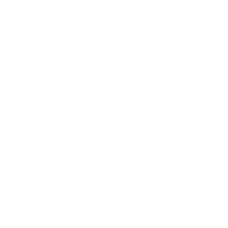 Information Integrity technologies